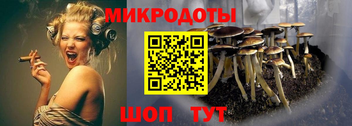 Псилоцибиновые грибы MAGIC MUSHROOMS  где купить наркоту  Камень-на-Оби  Псилоцибиновые грибы GOLDEN TEACHER  Вход с VPN 